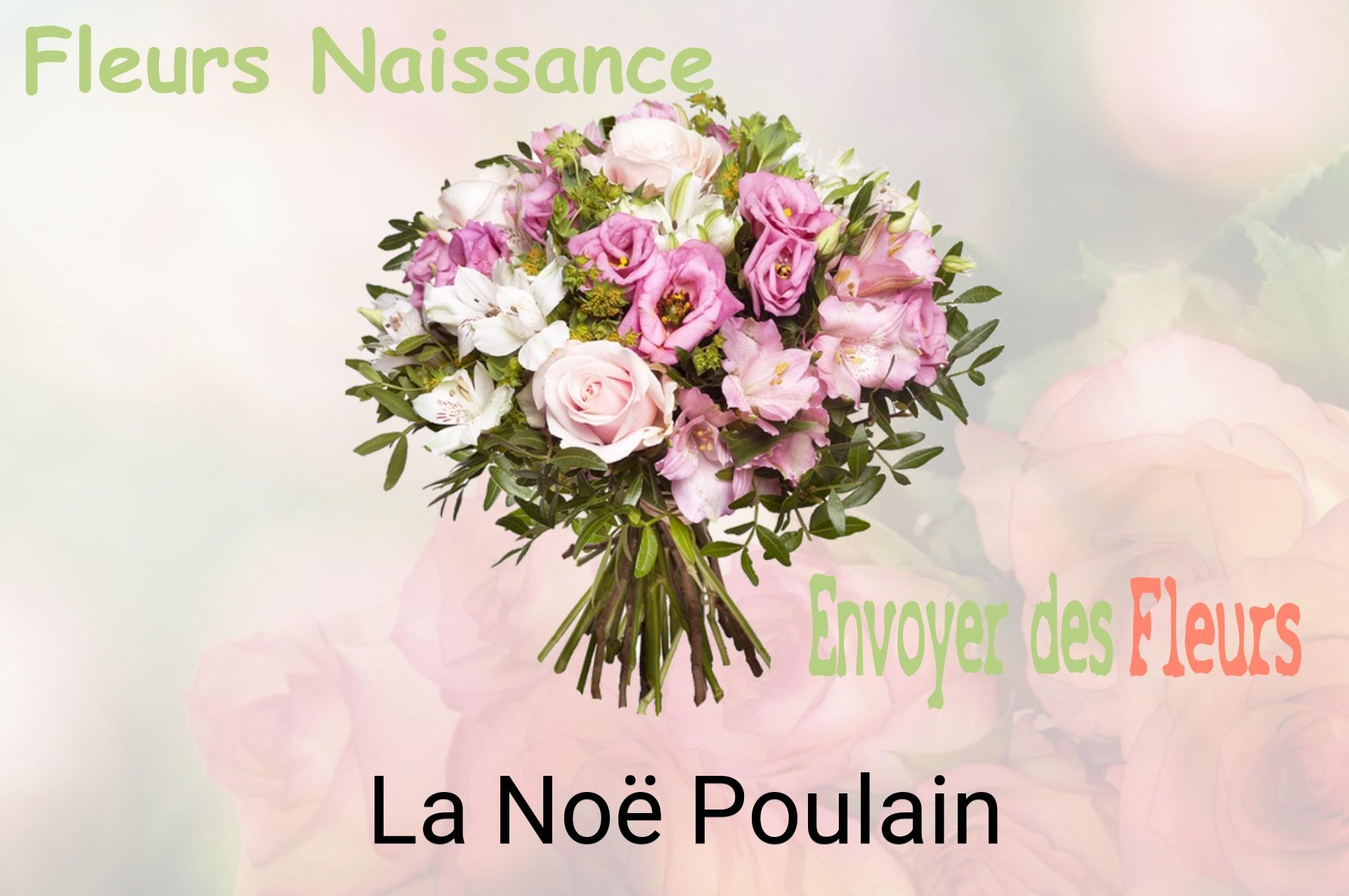 Bouquet de fleurs de naissance livré à La Noë-Poulain